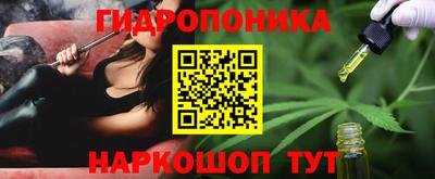Альфа ПВП Будённовск