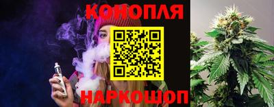 Альфа ПВП Будённовск