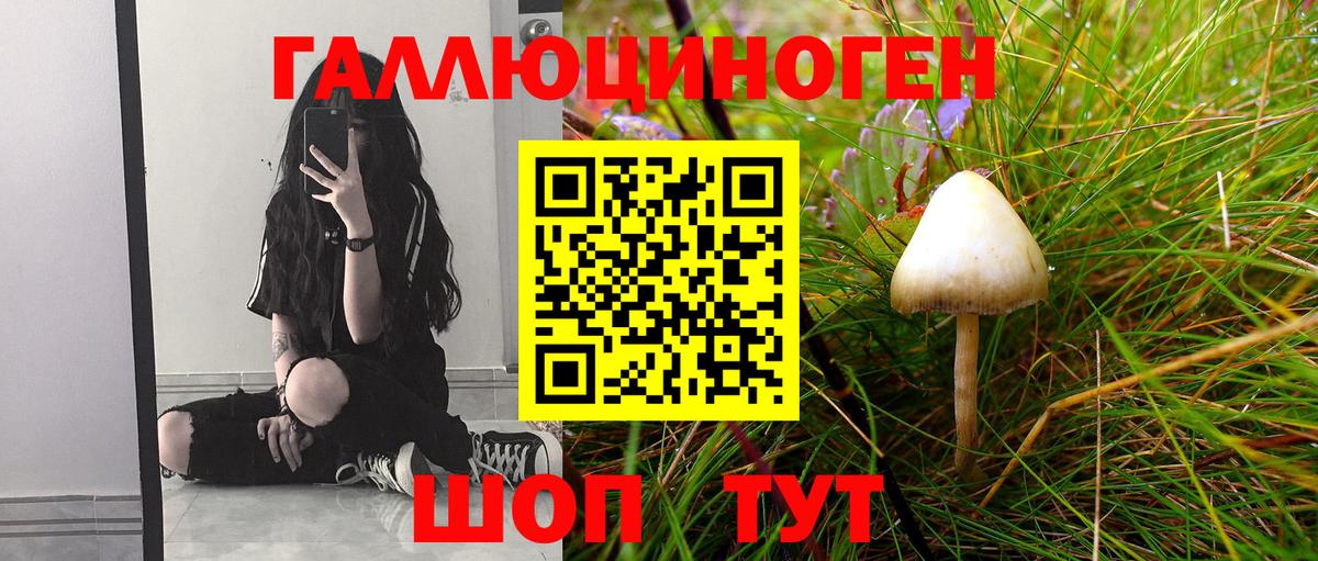 Псилоцибиновые грибы Psilocybe  Вход с VPN  Октябрьский 
